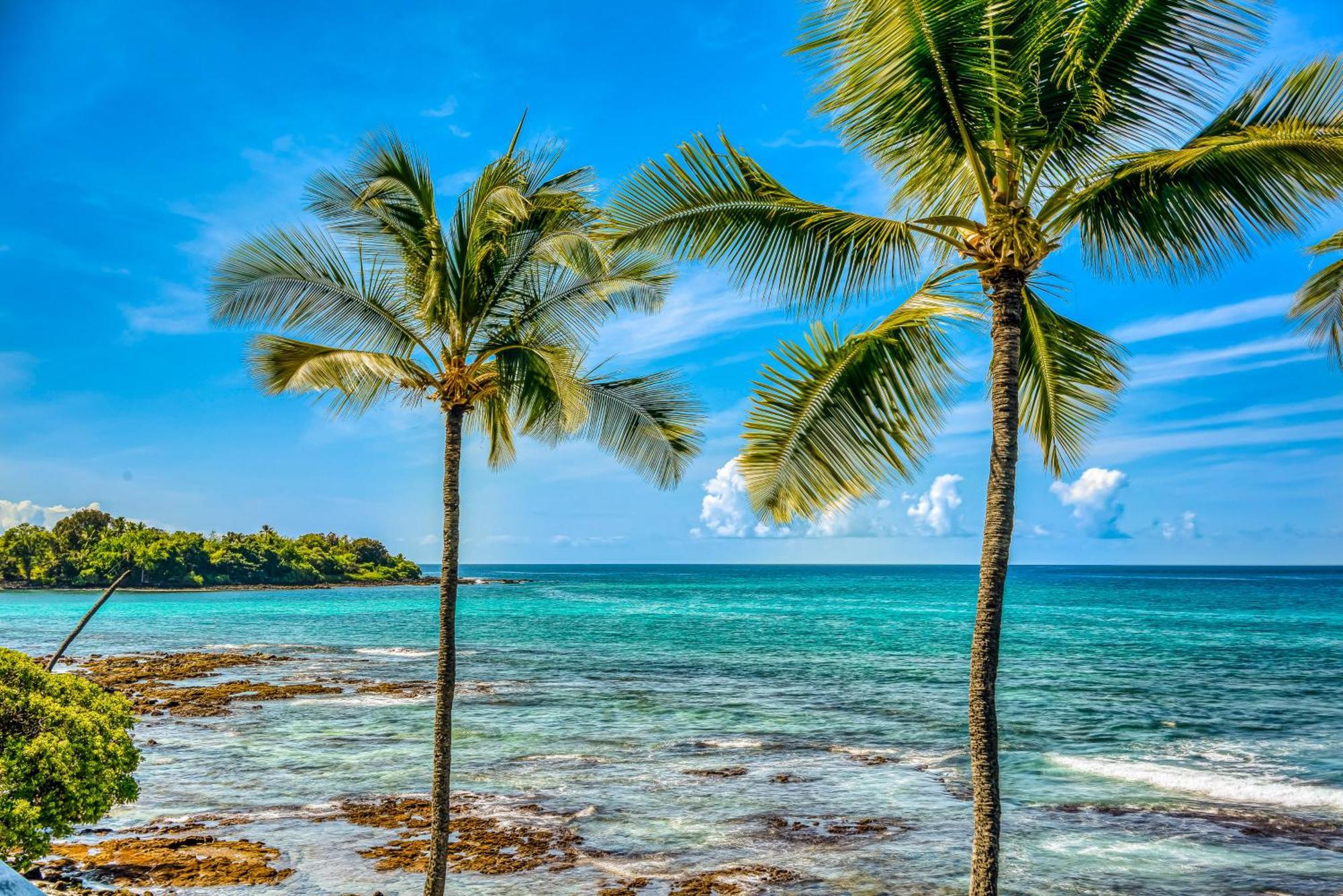 Kona Bali Kai #152 Lägenhet Kailua-Kona Exteriör bild